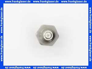 602125 Weishaupt Düse S 60 1,75 GPH Steinen mit Filter