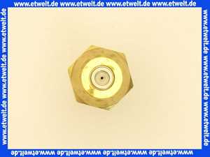 602579 Weishaupt Regeldüse WB3S1 60 kg 45 Grad