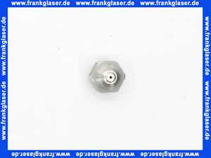612038 Weishaupt Brennerdüse Öldüse Heizöldüse Düse SS 45 14,00 GPH Steinen ohne Filter