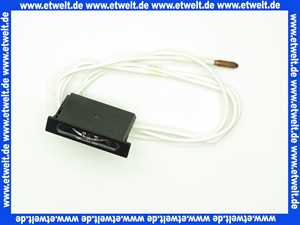 642012 Weishaupt Thermometer 0-120 Cel Kapillarrohr 1500 mm lang