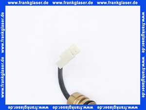 660333 Weishaupt Temperaturfühler NTC10K Wasser