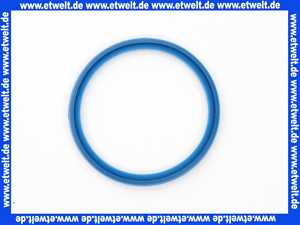 669262 Weishaupt Lippendichtung DN 70 für KAS/Al