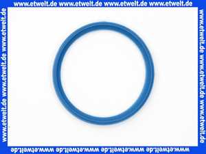 669262 Weishaupt Lippendichtung DN 70 für KAS/Al