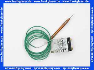 690301 Weishaupt Temperaturregler EGO Typ 55.13019.780