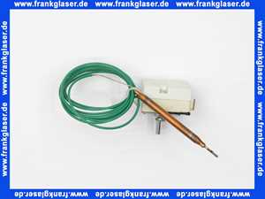 690301 Weishaupt Temperaturregler EGO Typ 55.13019.780