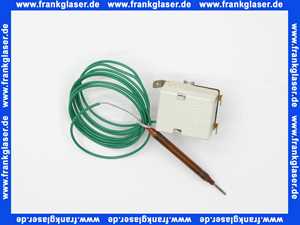 690301 Weishaupt Temperaturregler EGO Typ 55.13019.780