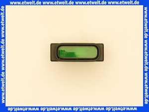 700304 Weishaupt Lampe 2-polig 250V grün