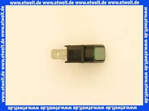 700304 Weishaupt Lampe 2-polig 250V grün