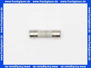 722024 Weishaupt Feinsicherung 6,3A IEC 127-2/V träge