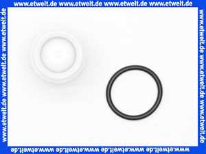 2027870 Wilo Rückflussverhinderer