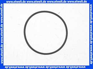 2042935 Wilo O-Ring zu Pumpengehäuse 65/1-9
