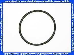 2119963 Wilo O-Ring