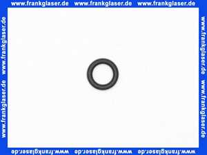 4006400 Wilo O-Ring