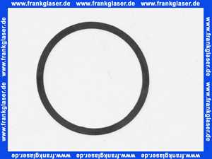 4092498 WILO Dichtung