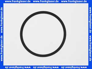 502035399 Wilo Dichtung