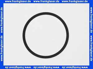 502035399 Wilo Dichtung