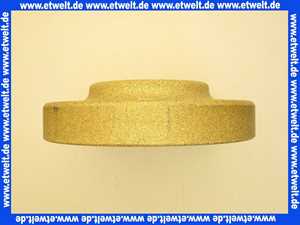 1610500 Wolf Isolierstein Gußtüre HK-2