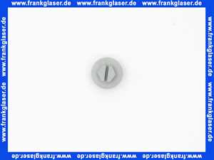 1720102 Wolf Schraubstopfen für Prüfnippel 1/4