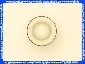 207039499 Wolf Rückflussverhinderer Patrone für CGW-2,