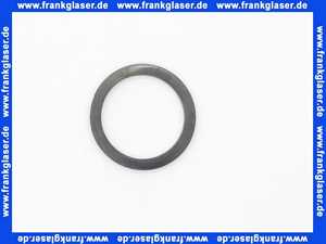 2070569 Wolf ET Siphon Dichtung für COB,