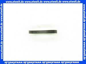 2070569 Wolf ET Siphon Dichtung für COB,