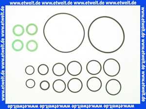 2070606 Wolf Dichtsatz FWM