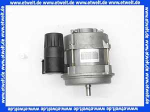 2413193 Wolf Elektromotor m. Kondensator für Cuenod-Gelbbrenner