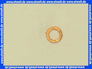 2425056 Wolf Flachdichtung D 6x9x1 für GU/GG