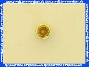 2425176 Wolf Hauptbrennerdüse Erdgas E FNG-21