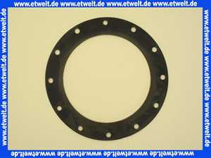 2483387 Wolf Dichtung Handlochdeckel SED750/280 BN