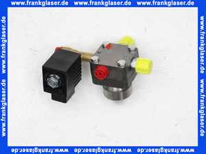 248428799 Wolf Ölpumpe für TOB-18,