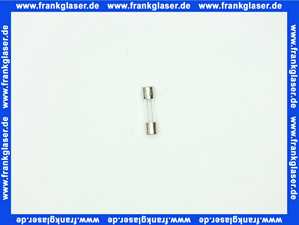 2745698 Wolf Sicherung Fein 2A Flink 250V 5x20mm