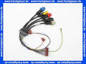 2799097 Wolf Kabelsatz III für TGB-40/60