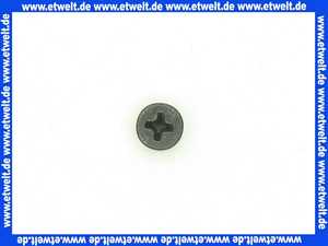 3419400 Wolf Senkschraube M4x6-4.8-H DIN965