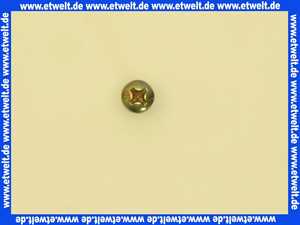 3450020 Wolf Blechschraube ST5,5x13-F-H GV DIN 7981 per Stück