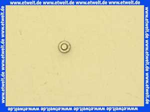 3450951 Wolf Zylinder-Schaube M6X10-AL DIN7984