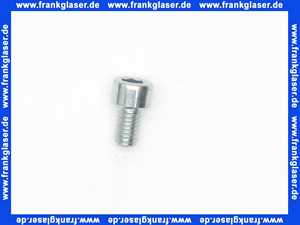 3450952 Wolf Zylinderschraube M6X10-8.8 DIN912