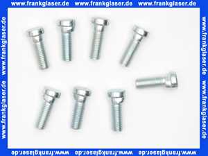 3450966 Wolf Schraube verdrehsicher M10x30 (1 Stück)