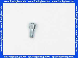 3490171 Wolf Zylinderschraube M6X12 DIN912