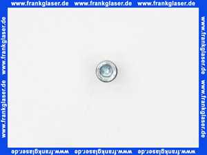 3490171 Wolf Zylinderschraube M6X12 DIN912