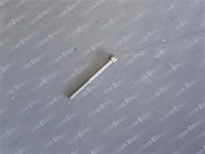 3490263 Wolf Exzenterscheibe BPH-10