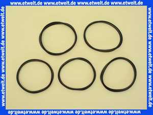 3903139 Wolf Dichtring D80 f.Abgasrohr (Set a 5 Stück)