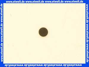 3903167 Wolf Dichtung für Prüfnippel