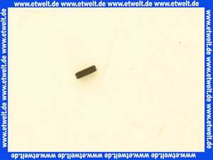 3903167 Wolf Dichtung für Prüfnippel