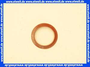3910044 Wolf Dichtung Revisionsdeckel Abgasrohr 90Gr