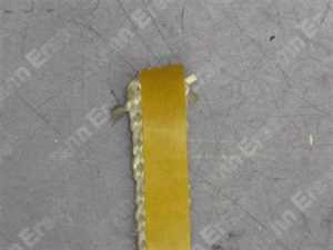 3910181 Wolf Dichtung Saugzuggebläse für BPH-10-35