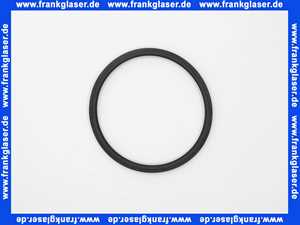 Wolf Lippendichtung Kondensatwanne für CGB-2-38/55 391053599