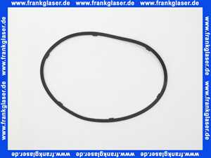 Wolf Lippendichtung Brennkammer für CGB-2-38/55 391053799