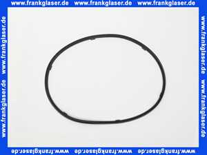 Wolf Lippendichtung Brennkammer für CGB-2-38/55 391053799