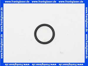 5718767199 Wolf O-Ring f.Strömungsschalter